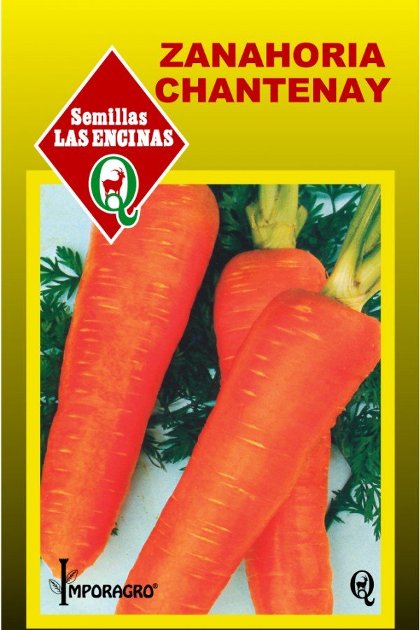 Semillas de Zanahoria Chantenay - Sobre para Huerto - Calidad Tradicional para Huerto en Chile - Vista 3