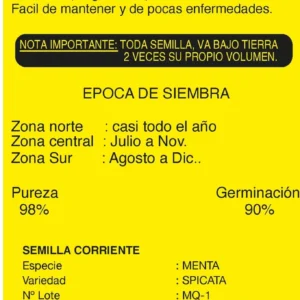 Semillas de Hierba Buena - Sobre para Huerto - Calidad Tradicional para Huerto en Chile