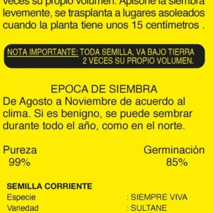Semillas de Siempre Viva - Sobre para Huerto - Calidad Tradicional para Huerto en Chile