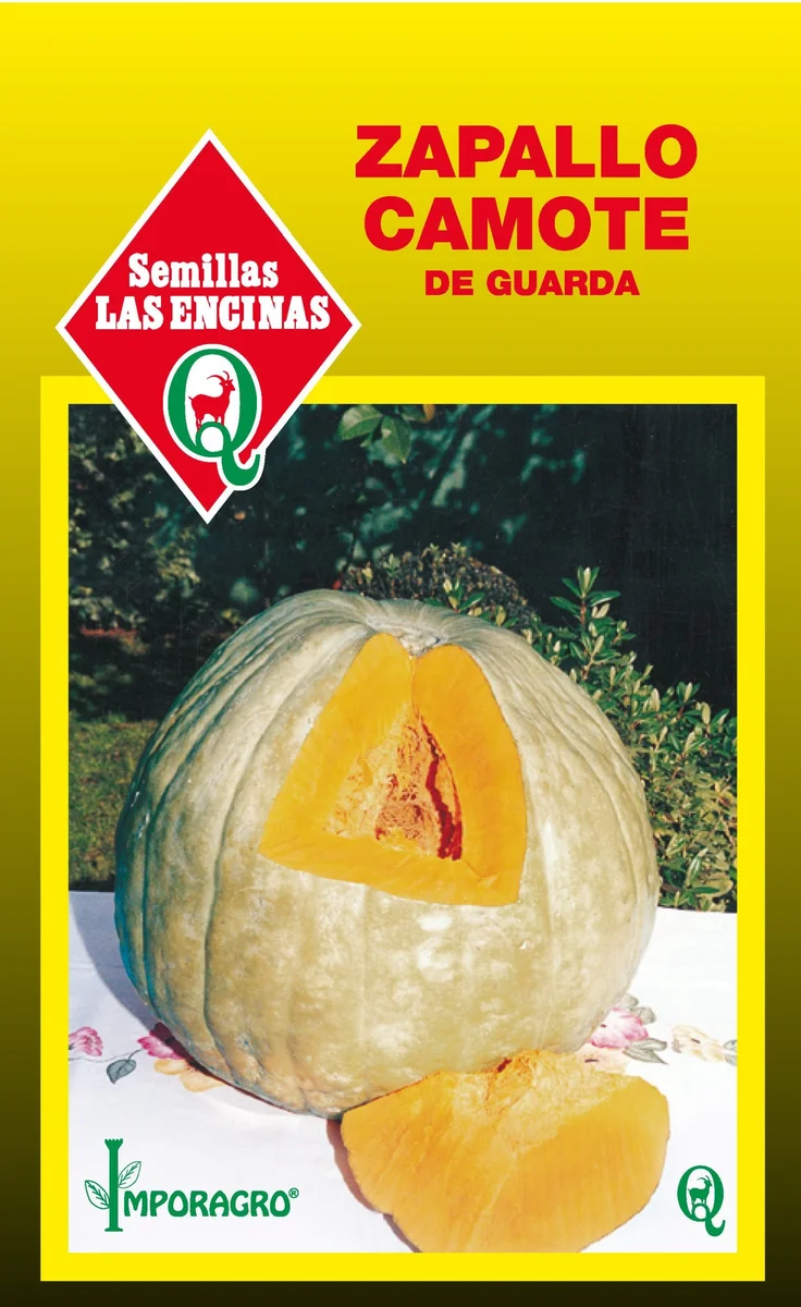Semillas de Zapallo Camote de Guarda - Sobre para Huerto - Calidad Tradicional para Huerto en Chile