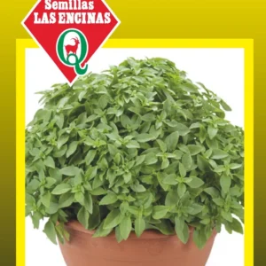 Semillas de Albahaca Enana - Sobre para Huerto - Calidad Tradicional para Huerto en Chile