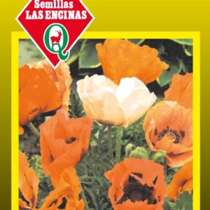 Semillas de Amapola Colores Variados - Sobre para Huerto - Calidad Tradicional para Huerto en Chile