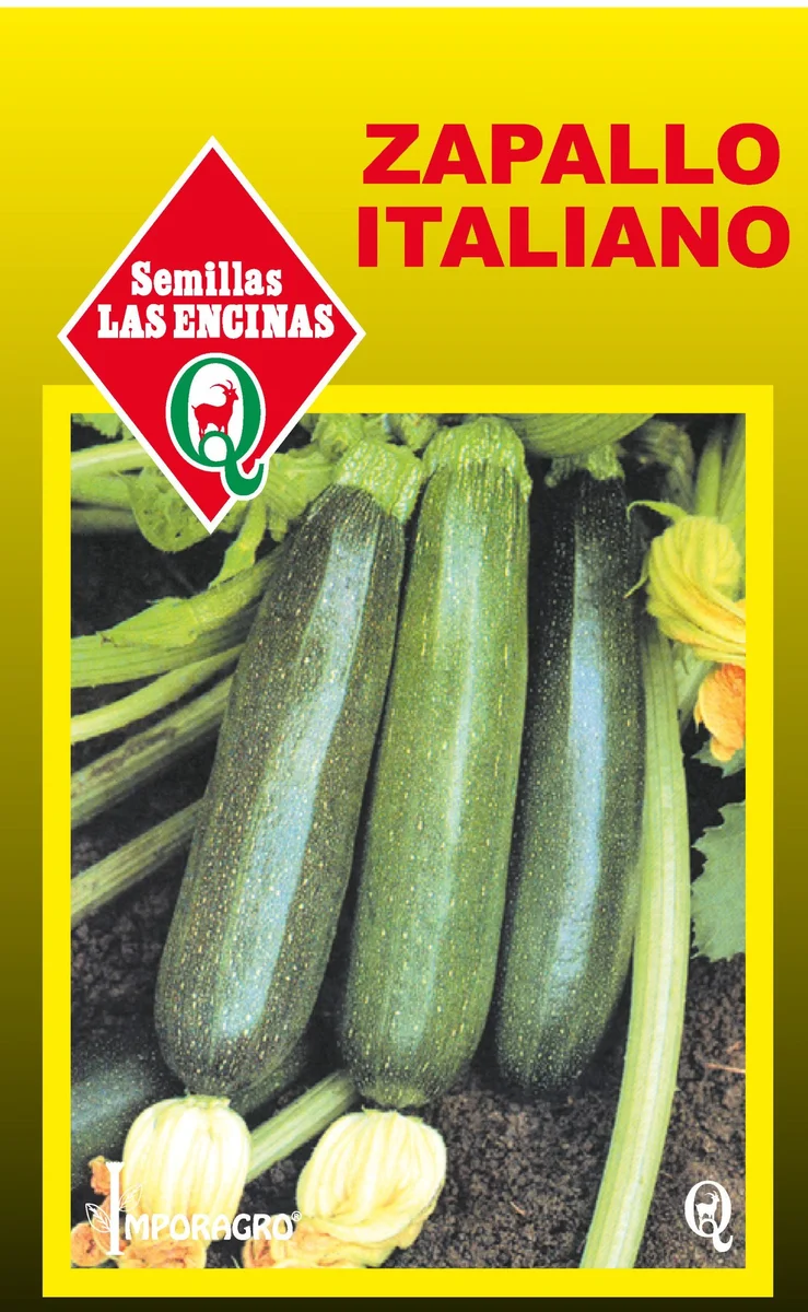 Semillas de Zapallo Italiano - Sobre para Huerto - Calidad Tradicional para Huerto en Chile