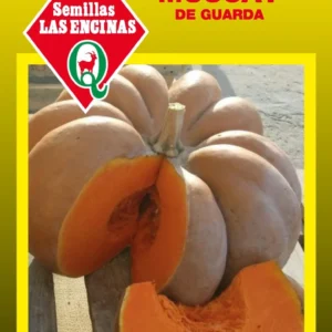 Semillas de Zapallo Muscat de Guarda - Sobre para Huerto - Calidad Tradicional para Huerto en Chile