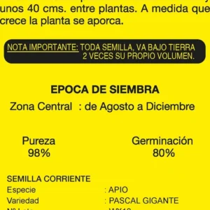 Semillas de Apio Verdura - Sobre para Huerto - Calidad Tradicional para Huerto en Chile