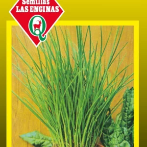 Semillas de Ciboulette - Sobre para Huerto - Calidad Tradicional para Huerto en Chile
