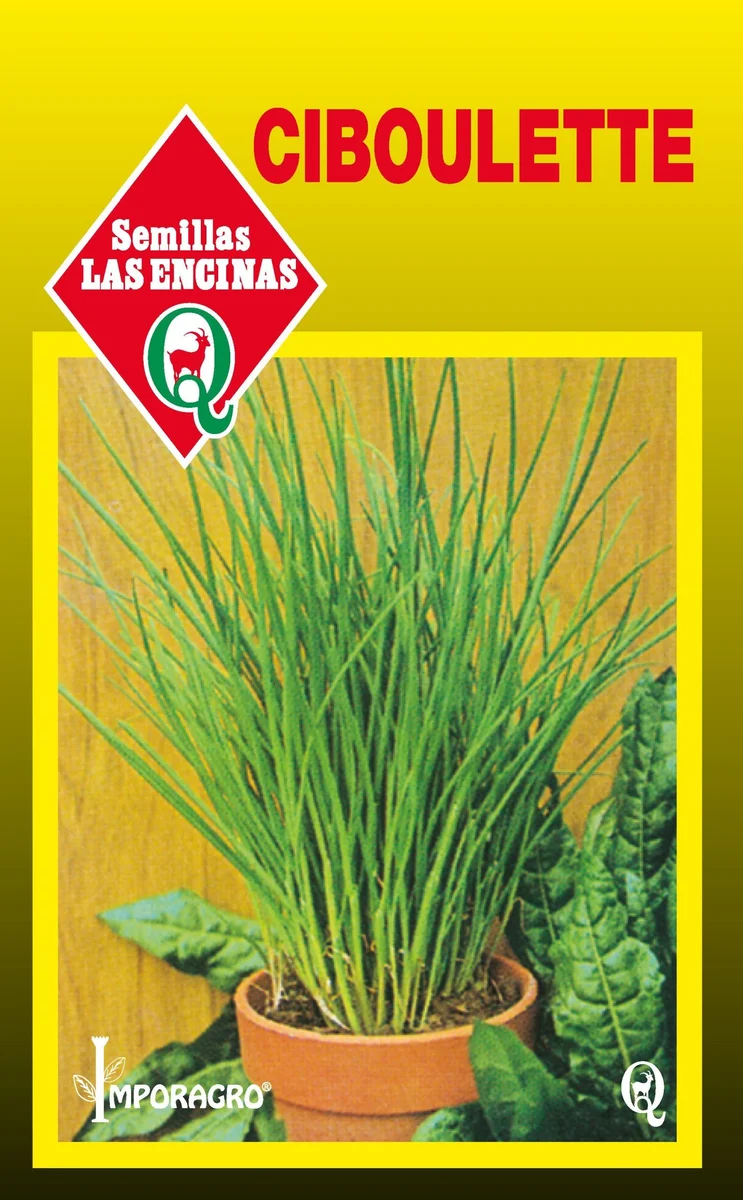 Semillas de Ciboulette - Sobre para Huerto - Calidad Tradicional para Huerto en Chile
