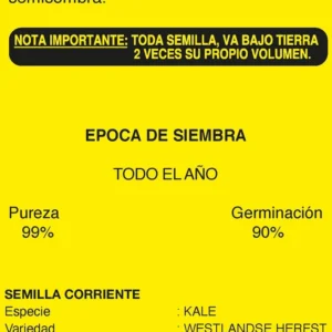 Semillas de Kale Rizado - Sobre para Huerto - Calidad Tradicional para Huerto en Chile