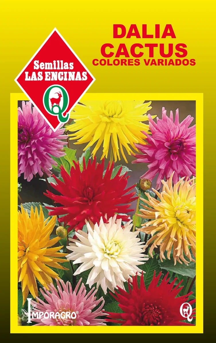 Semillas de Dalia Cactus - Sobre para Huerto - Calidad Tradicional para Huerto en Chile