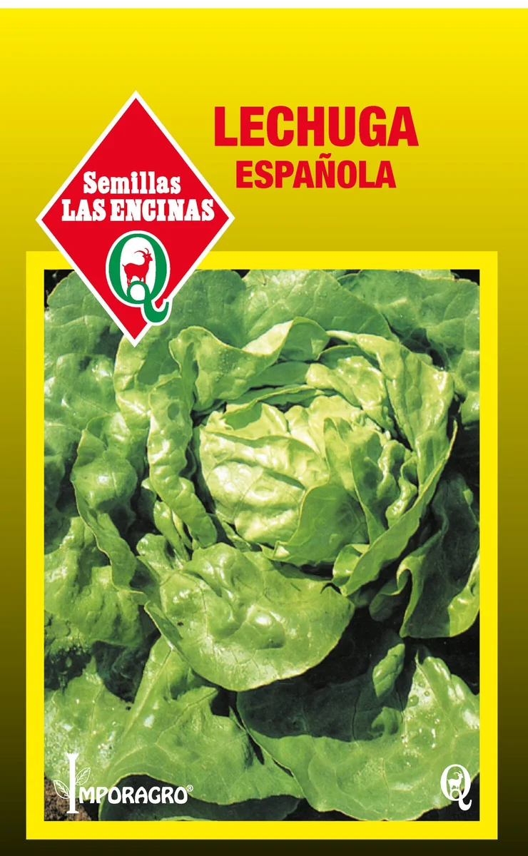 Semillas de Lechuga Española - Sobre para Huerto - Calidad Tradicional para Huerto en Chile