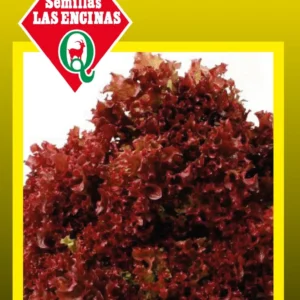 Semillas de Lechuga Lollo Rosa - Sobre para Huerto - Calidad Tradicional para Huerto en Chile