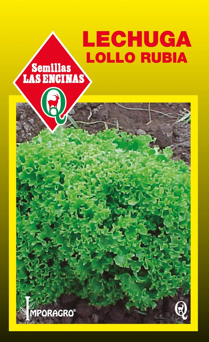 Semillas de Lechuga Lollo Rubia - Sobre para Huerto - Calidad Tradicional para Huerto en Chile
