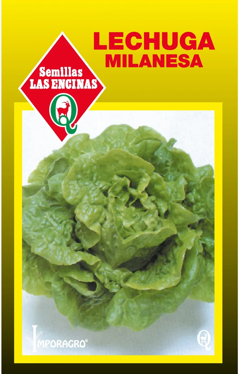 Semillas de Lechuga Milanesa - Sobre para Huerto - Calidad Tradicional para Huerto en Chile