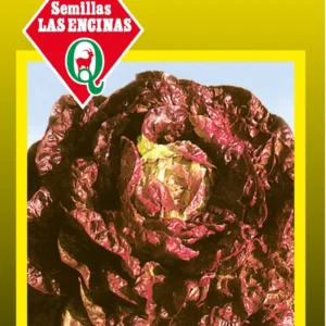 Semillas de Lechuga Morada - Sobre para Huerto - Calidad Tradicional para Huerto en Chile