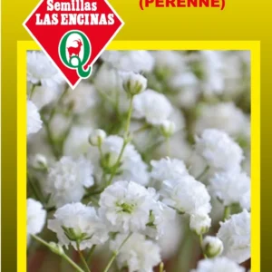 Semillas de Ilusion Paniculata (Perenne) - Sobre para Huerto - Calidad Tradicional para Huerto en Chile