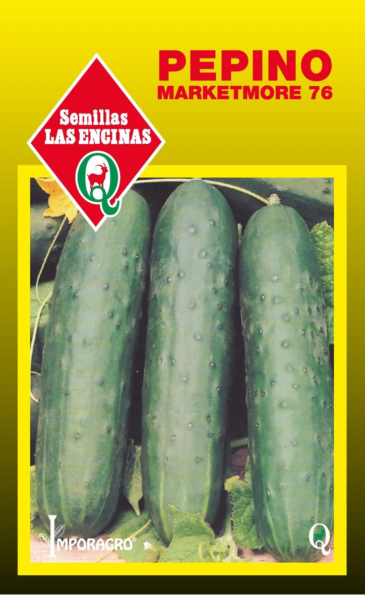 Semillas de Pepino Marketmore 76 - Sobre para Huerto - Calidad Tradicional para Huerto en Chile