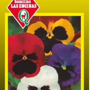 Semillas de Pensamiento Colores Variados - Sobre para Huerto - Calidad Tradicional para Huerto en Chile