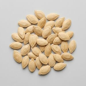Semillas de Zapallo Butternut Waltham - Sobre para Huerto - Calidad Tradicional para Huerto en Chile