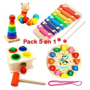Pack 5 Juguetes Didácticos De Madera Para Niños Montessori - Modelo D - Juguete Didáctico de Madera en Chile