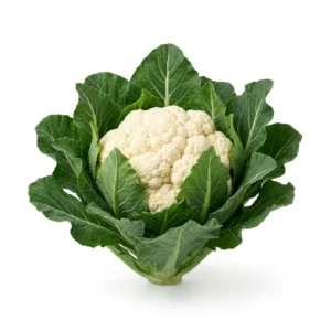 Semillas de Coliflor Snowball "Y" - Planta florecida con colores vivos sobre fondo blanco puro para catálogo de semillas Cultivarte (Brassica oleracea var. botrytis)