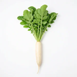 Semillas de Nabo Blanco Largo - Planta de hortaliza desarrollada sobre fondo blanco puro para catálogo de semillas Cultivarte (Brassica rapa subsp. rapa)