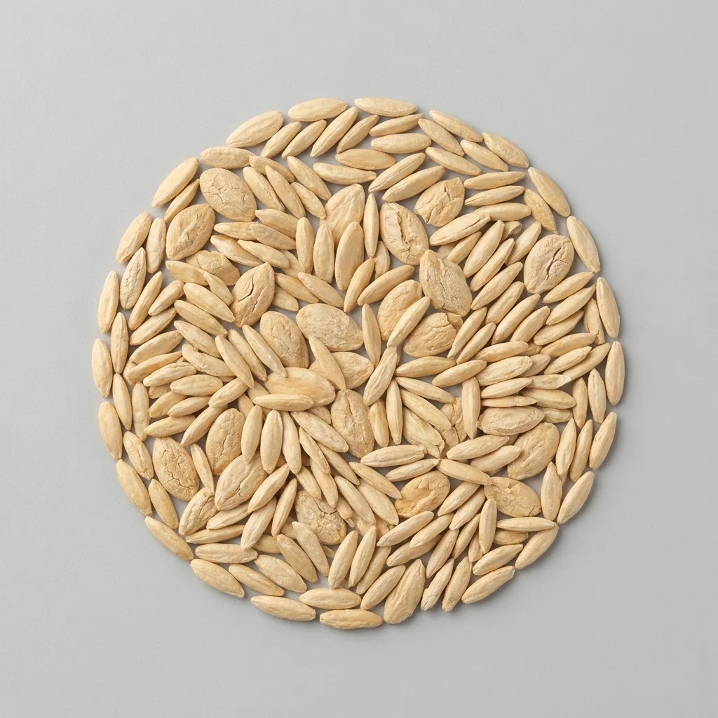 Semillas seleccionadas de Pepino Marketmore 76 de alto poder germinativo sobre superficie limpia, mostrando calibre y textura real para siembra (Cucumis sativus)