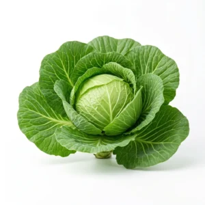 Semillas de Repollo Copenhaguen Market - Planta de hortaliza desarrollada sobre fondo blanco puro para catálogo de semillas Cultivarte (Brassica oleracea var. capitata)