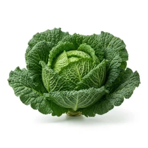Semillas de Repollo Crespo Milan - Planta de hortaliza desarrollada sobre fondo blanco puro para catálogo de semillas Cultivarte (Brassica oleracea var. capitata)