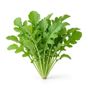 Semillas de Rúcula Cultivada - Planta de hortaliza desarrollada sobre fondo blanco puro para catálogo de semillas Cultivarte (Eruca vesicaria)